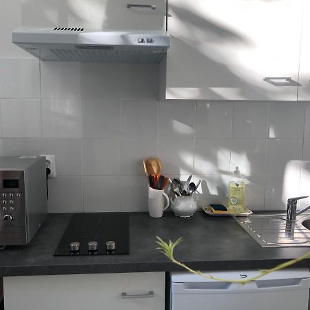 Villa Camelia Grand Studio Quartier Thermal Vichy Luaran gambar
